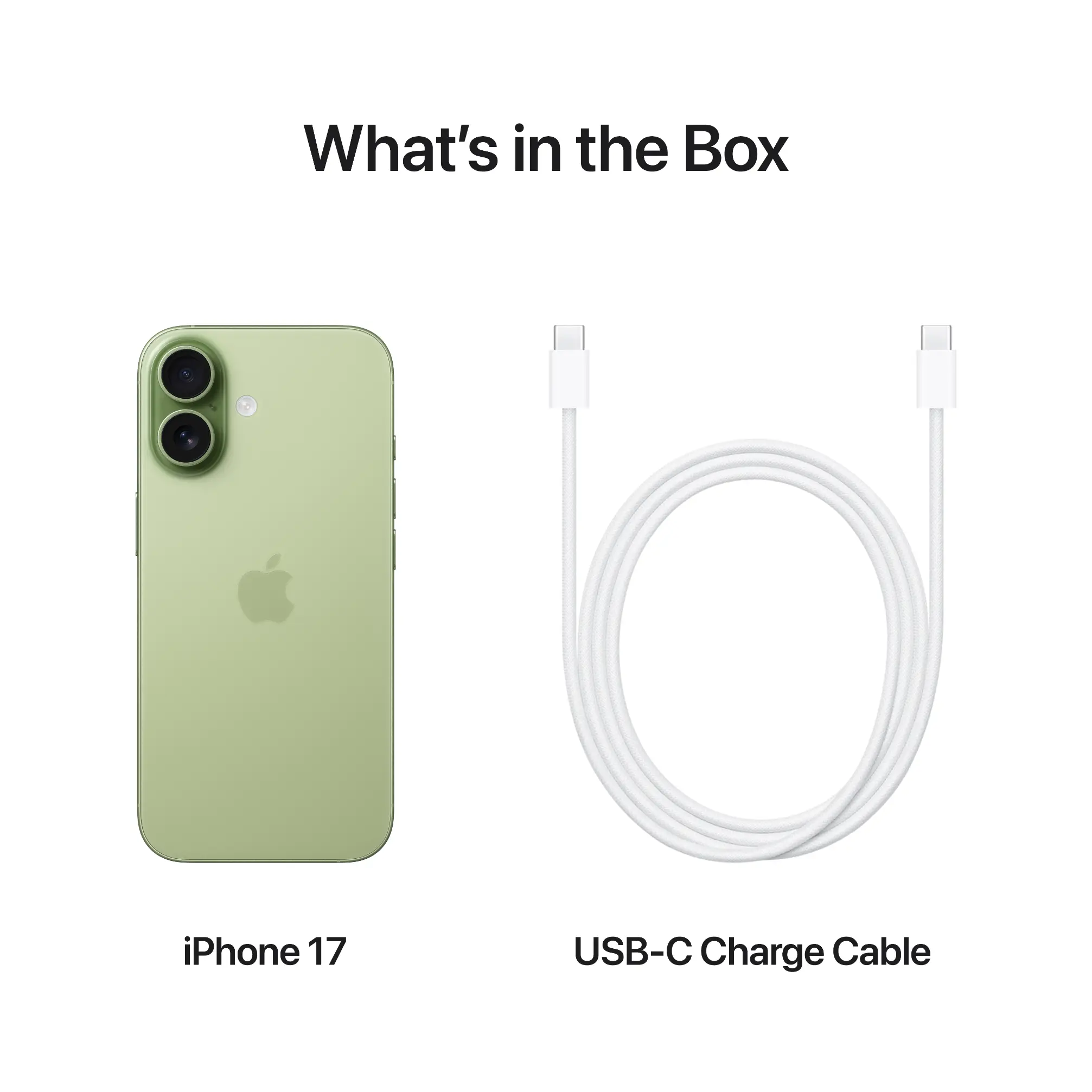 Apple iPhone 17 MG6N4HN/A, A19 chip, 15.93 cm / 6.3 inch (diagonal